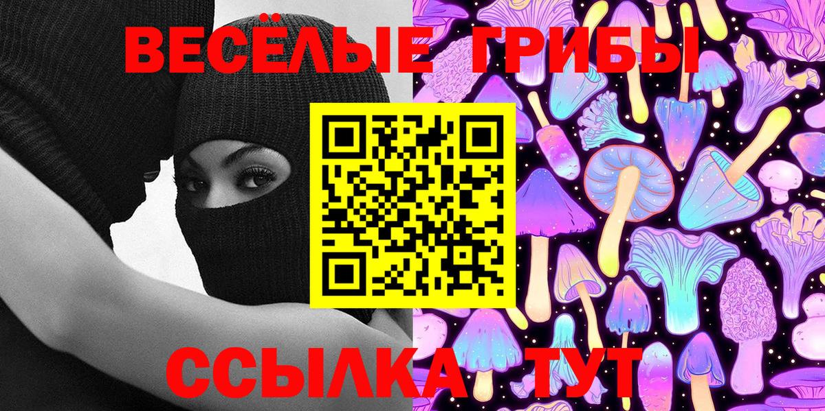 Галлюциногенные грибы Psilocybe Зеленокумск