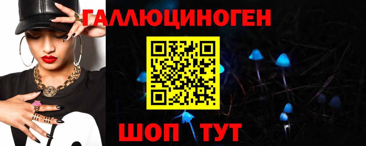 Зеленокумск  где можно купить наркотик  Вход с VPN  Псилоцибиновые грибы Psilocybe 